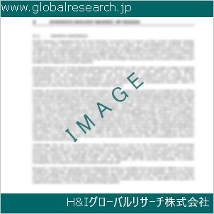 グローバルリサーチ調査資料のイメージ